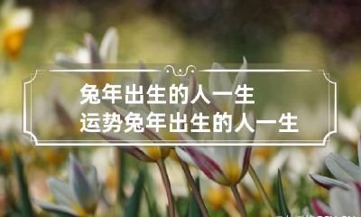 兔年出生的人一生运势 兔年出生的人一生运势好不好