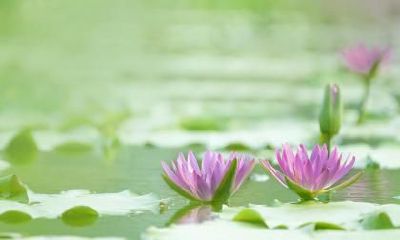 霜降的五大忌讳，霜降节气吃什么好？