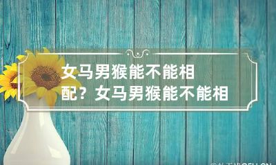 女马男猴能不能相配？ 女马男猴能不能相配呢