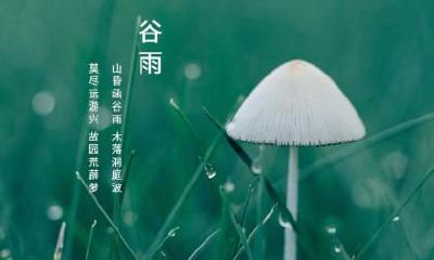 2019年谷雨出生的孩子取名推荐