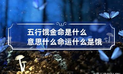 五行饿金命是什么意思什么命运 什么是饿金命的人讲解视频