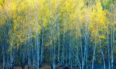 2019年1月19日出生男孩的五行起名大全，怎么起名好？