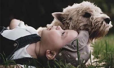 2019年1月20日出生的宝宝怎么起名好？