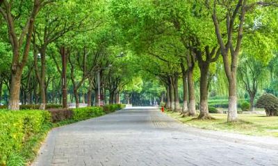 2019年1月7日出生的女孩如何起名？宝宝五行缺什么？