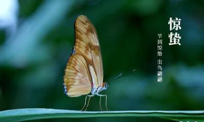 惊蛰出生的伟人名人有哪些？惊蛰生日有什么含义