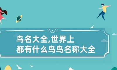 鸟名大全,世界上都有什么鸟 鸟名称大全集