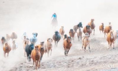 属马人一生最旺3个人是哪三个？分别是什么生肖？