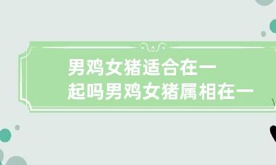男鸡女猪适合在一起吗 男鸡女猪属相在一起好吗