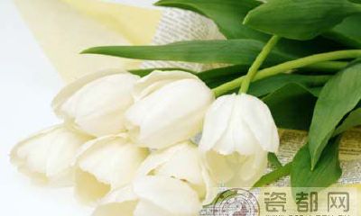 AB型血属鸡人性格特点:外表端庄，情绪易变