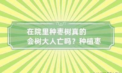 在院里种枣树真的会树大人亡吗？种植枣树有哪些风水禁忌？