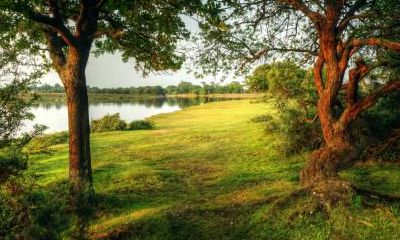 2018年11月20日出生的女孩用五行取名，女孩名字怎么取好听？