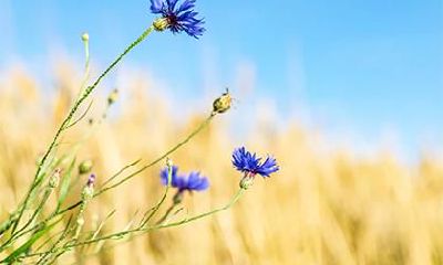 2018年十月初五出生男孩如何起名？缺什么五行？