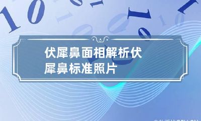 伏犀鼻面相解析 伏犀鼻标准照片