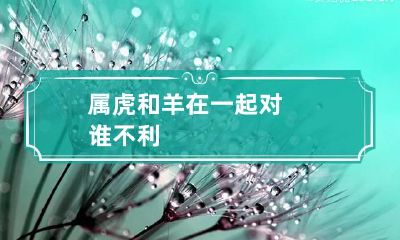 属虎和羊在一起对谁不利