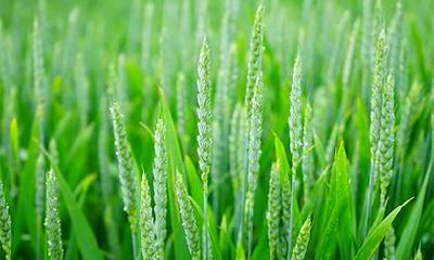 2018年九月初四男孩怎么取个好名字？五行起名怎么起？