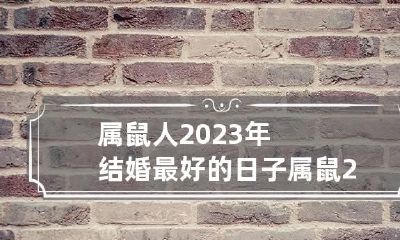 属鼠人2023年结婚最好的日子 属鼠2023年结婚好吗?