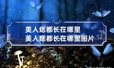 美人痣都长在哪里 美人痣都长在哪里图片
