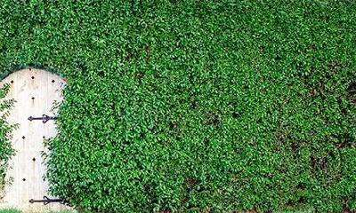 2019年腊八出生的男孩八字缺火名字推荐，腊八出生五行缺火？