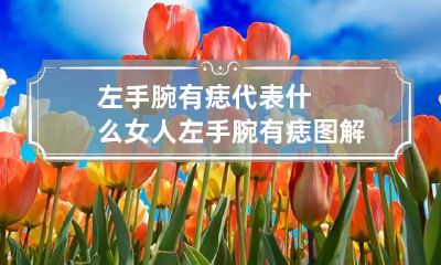 左手腕有痣代表什么 女人左手腕有痣图解