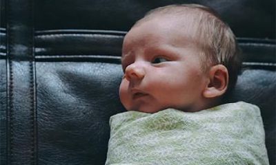 2019年腊月二十八出生宝宝属什么生肖？此日生孩子好吗？