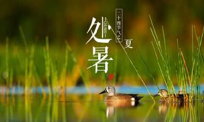 立秋的前一天日子叫什么？立秋节气去世怎么说？