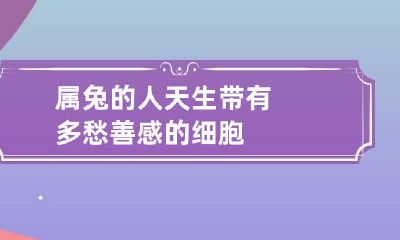 属兔的人天生带有多愁善感的细胞