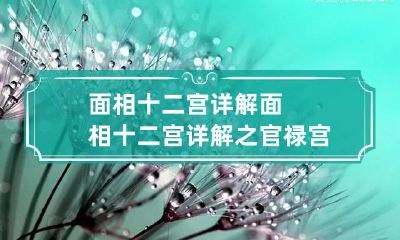 面相十二宫详解 面相十二宫详解之官禄宫