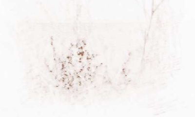 挖掘射手座在工作中的长处