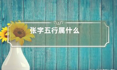 张字五行属什么