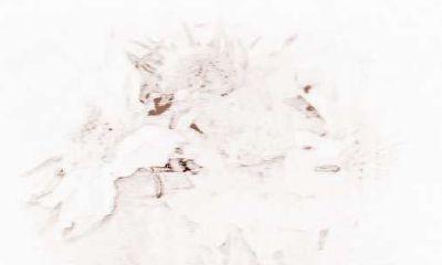 射手座男生在恋爱中的优势