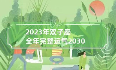 2023年双子座全年完整运气 2030年双子座运势