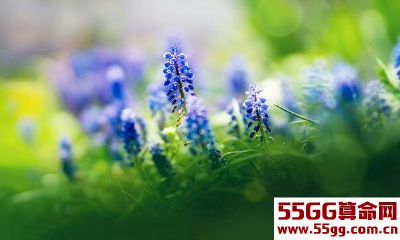 如何挽回射手座的心