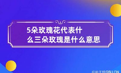5朵玫瑰花代表什么 三朵玫瑰是什么意思