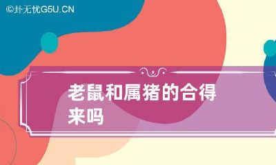 老鼠和属猪的合得来吗