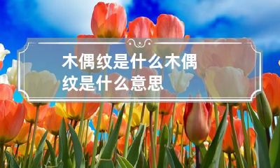 木偶纹是什么 木偶纹是什么意思