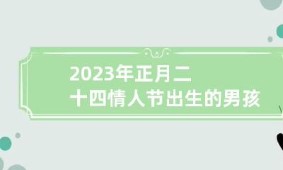 2023年正月二十四情人节出生的男孩八字命运