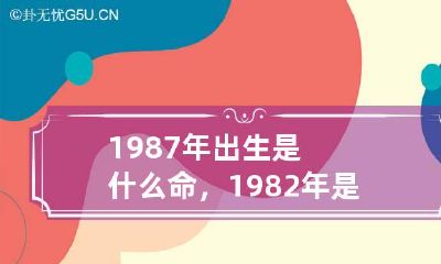 1987年出生是什么命，1982年是什么命