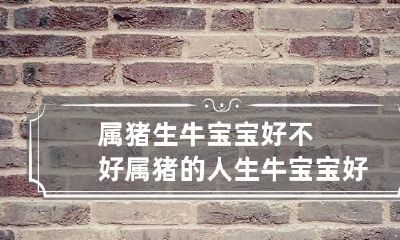 属猪生牛宝宝好不好 属猪的人生牛宝宝好不好