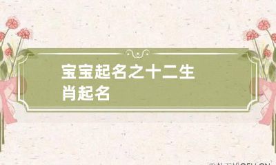 宝宝起名之十二生肖起名