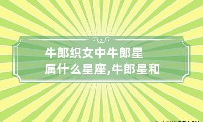 牛郎织女中牛郎星属什么星座,牛郎星和织女星分别属于什么星座?