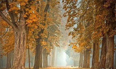 2022壬寅虎年农历六月二十九日是理发的吉日吗？