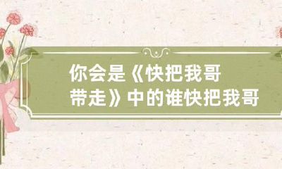 你会是《快把我哥带走》中的谁 快把我哥带走说的是什么