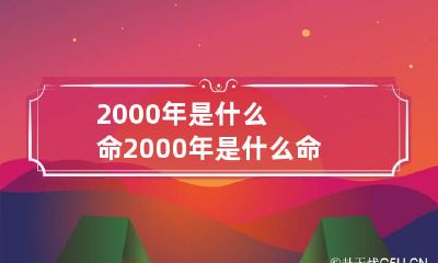 2000年是什么命 2000年是什么命格