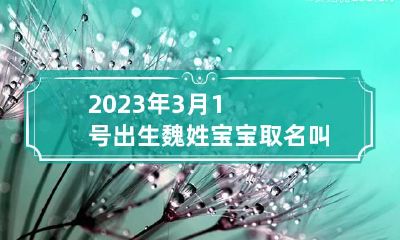 2023年3月1号出生魏姓宝宝取名叫什么