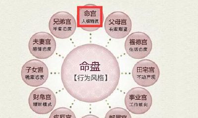紫微斗数陀罗星在兄弟宫代表什么意思？