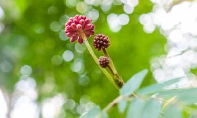 谷雨节气的注意事项,谷雨不能做什么
