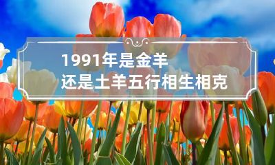 1991年是金羊还是土羊 五行相生相克