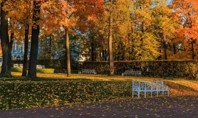 2020年立秋时间是早还是晚？2020年立秋是几点几分几秒？