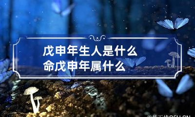 戊申年生人是什么命 戊申年属什么