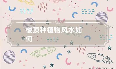 楼顶种植物风水如何